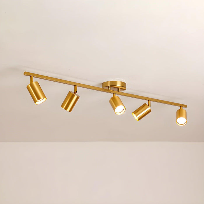 Evanna Ceiling Light - DWHOME