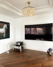 Round Shell Chandelier-DWHOME