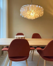 Round Shell Chandelier-DWHOME
