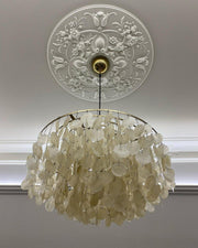 Round Shell Chandelier-DWHOME