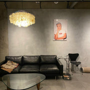 Round Shell Chandelier-DWHOME