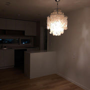 Round Shell Chandelier-DWHOME