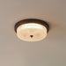 Fabula Ceiling Lamp-DWHOME