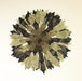 Fantastic Murano Prisms Smoked Transparent Chandelier-DWHOME
