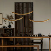 Felix Crescent Pendant Lamp-DWHOME