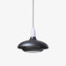 Fiji Pendant Light-DWHOME