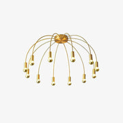 Fireworks Ceiling Lamp-DWHOME