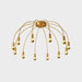Fireworks Ceiling Lamp-DWHOME