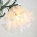 Flared Wall Light-DWHOME