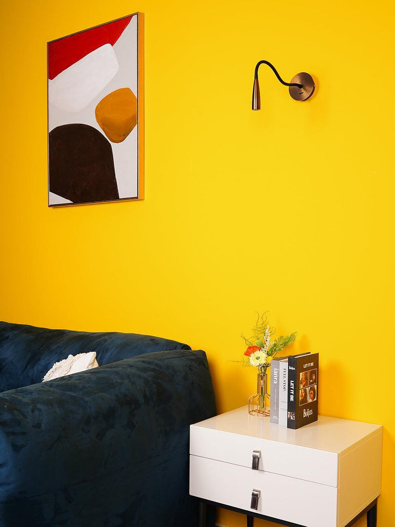 Flexi Hose Wall Light-DWHOME