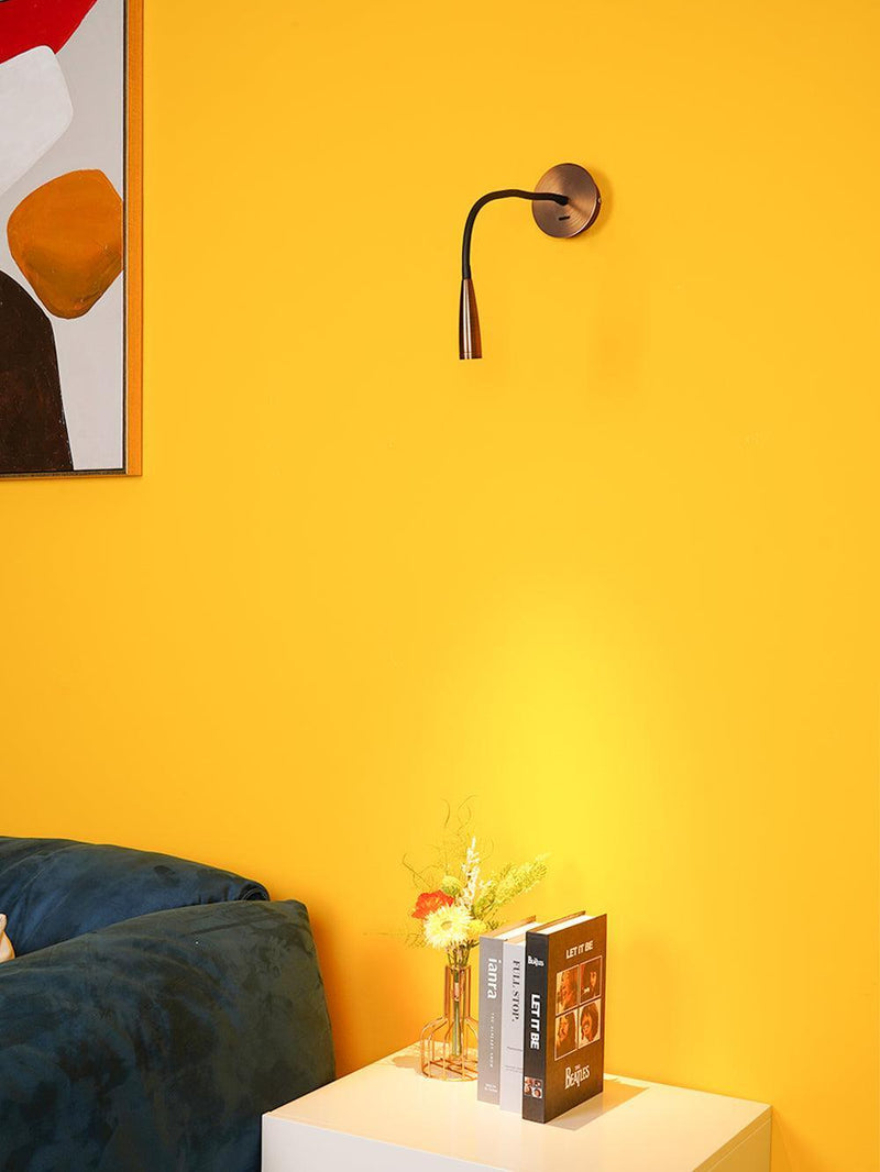 Flexi Hose Wall Light-DWHOME