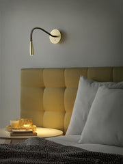 Flexi Hose Wall Light-DWHOME