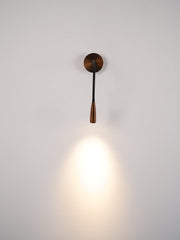 Flexi Hose Wall Light-DWHOME