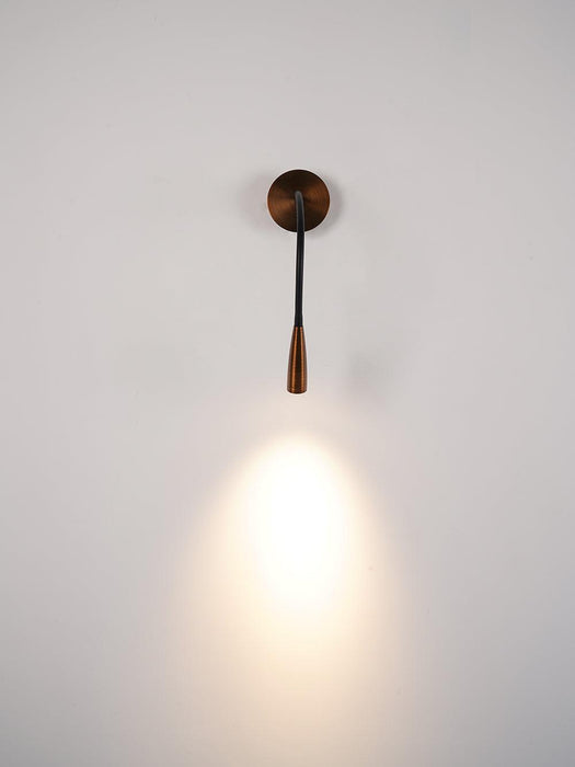 Flexi Hose Wall Light-DWHOME