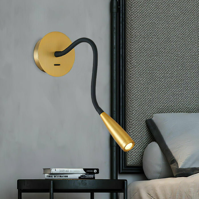 Flexi Hose Wall Light.