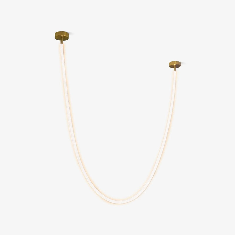 Flexible Curve Pendant Lamp-DWHOME