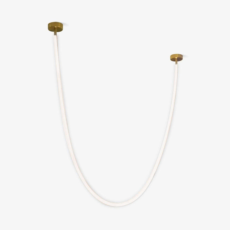 Flexible Curve Pendant Lamp-DWHOME