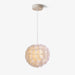 Flowers Ball Pendant Light-DWHOME