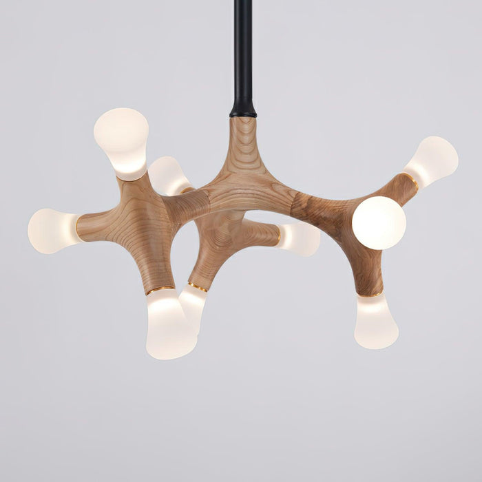 Flower Bone Chandelier-DWHOME