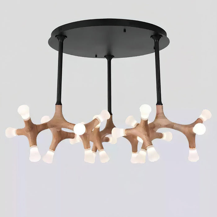 Flower Bone Chandelier.