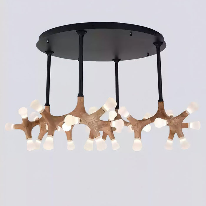 Flower Bone Chandelier.