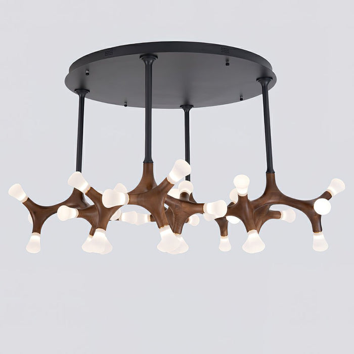 Flower Bone Chandelier.