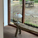 Flower Petal Table Lamp-DWHOME