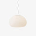 Fluid Pendant Light.