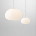 Fluid Pendant Light - Vakkerlight