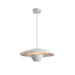 Flying Saucer Resin Pendant Lamp-DWHOME