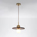 Flying Saucer Walnut Pendant Lamp.