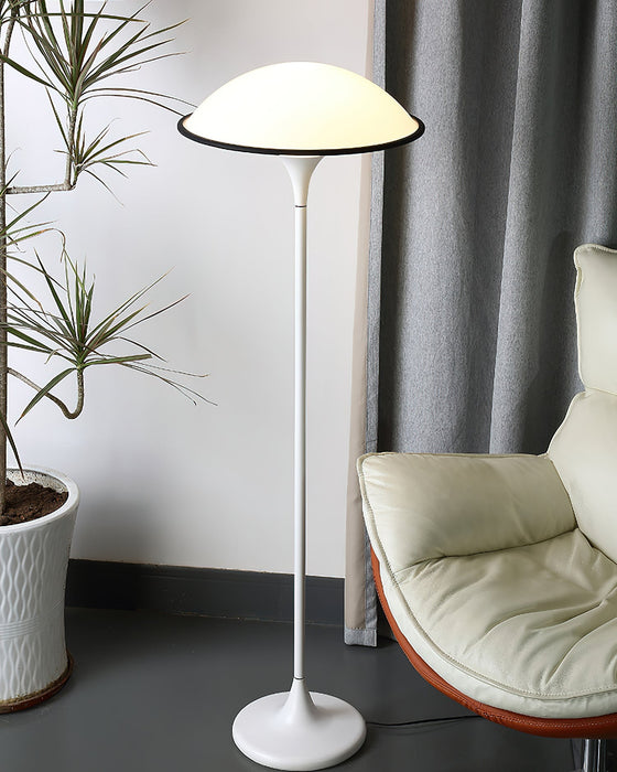 Fontana Floor Lamp.