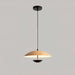 Frisbee Pendant Lamp - DWHOME