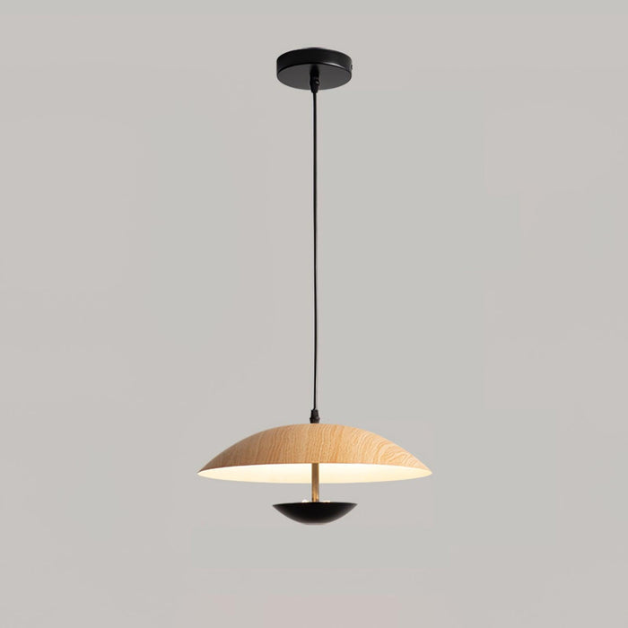 Frisbee Pendant Lamp.