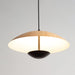 Frisbee Pendant Lamp.