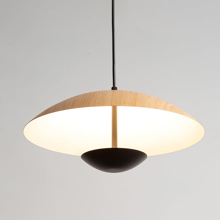 Frisbee Pendant Lamp - DWHOME