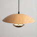 Frisbee Pendant Lamp.