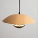 Frisbee Pendant Lamp - DWHOME