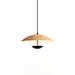 Frisbee Pendant Lamp - DWHOME