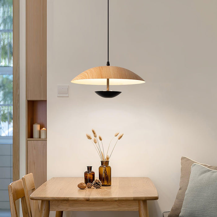 Frisbee Pendant Lamp - DWHOME