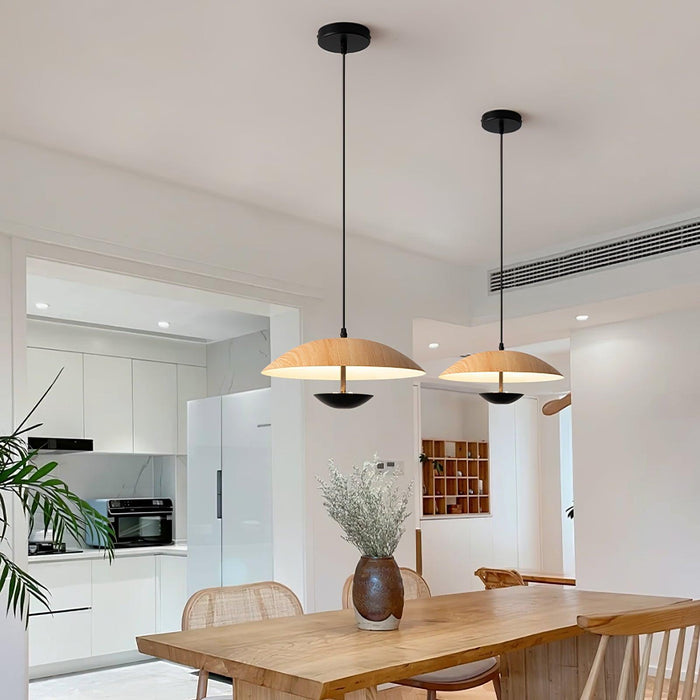 Frisbee Pendant Lamp - DWHOME