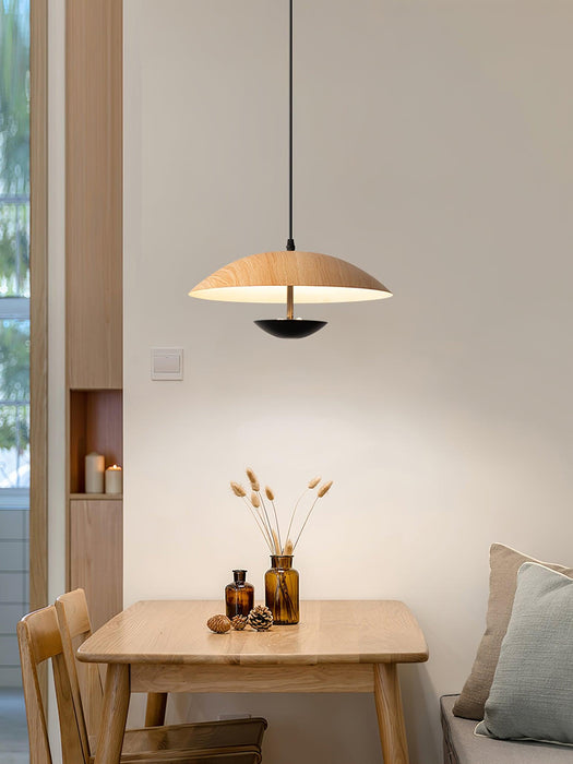 Frisbee Pendant Lamp.