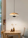 Frisbee Pendant Lamp.