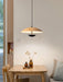 Frisbee Pendant Lamp - DWHOME