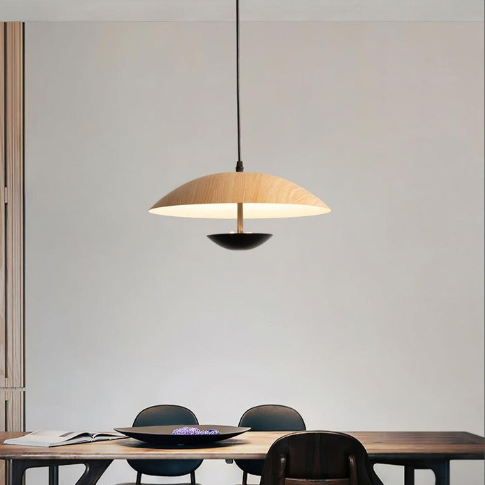 Frisbee Pendant Lamp.