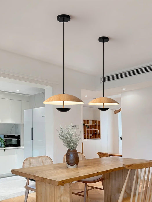 Frisbee Pendant Lamp - DWHOME