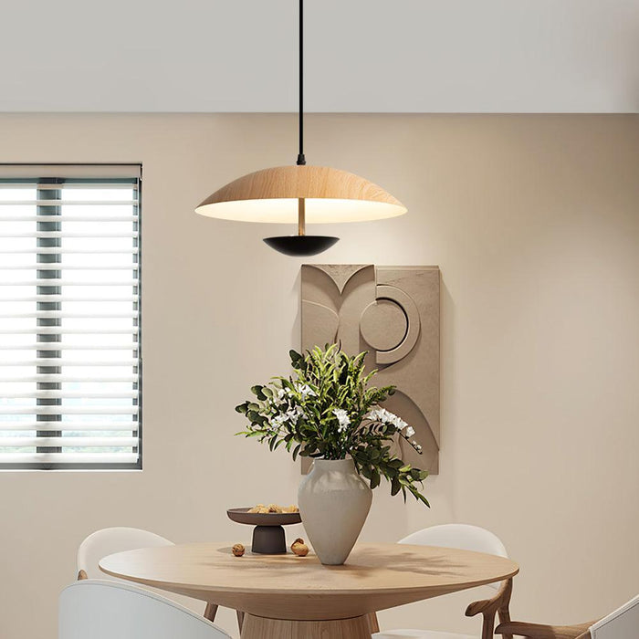 Frisbee Pendant Lamp - DWHOME