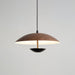 Frisbee Pendant Lamp.