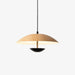 Frisbee Pendant Lamp - DWHOME