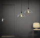 Tinted Glass Shade Industrial Pendant Light - DWHOME